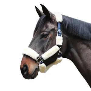 Pferdehalfter EQuest Comfort image-6