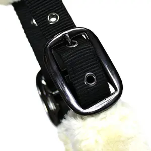 Pferdehalfter EQuest Comfort image-2