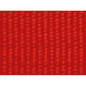 Licol pour poulain finition laiton EQuest Dual image-0