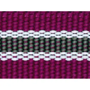 Shetland-Halfter Chrom-Finish EQuest Dual image-0