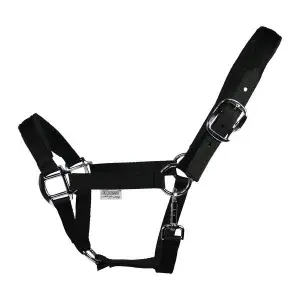 Halfter für Ponys EQuest Eco Uno Plus image-0