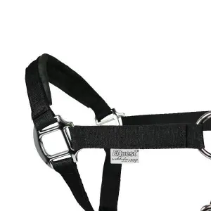 Halfter für Ponys EQuest Eco Uno Plus image-1