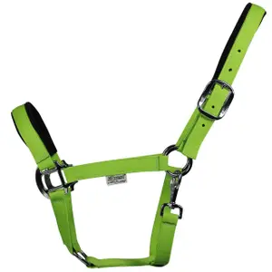 Licol pour poney EQuest Eco Uno Plus image-0