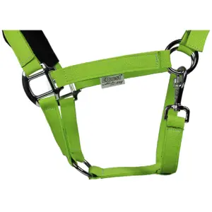 Licol pour poney EQuest Eco Uno Plus image-1