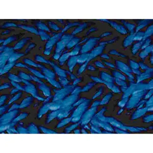 Cordón de equitación con mosquetón latonado EQuest Ultimo image-0