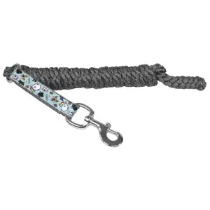 Longe Reiten EQuest Shine Pummel Pets Friends image-0