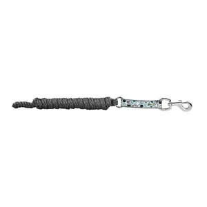 Longe Reiten EQuest Shine Pummel Pets Friends image-2