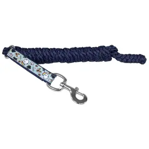 Longe Reiten EQuest Shine Pummel Pets Friends image-0