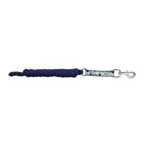 Longe Reiten EQuest Shine Pummel Pets Friends image-2
