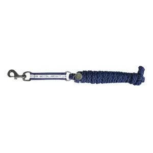 Longe Reiten EQuest Athlete IV image-0