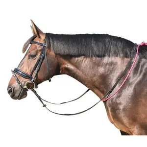 Zügel für Pferd EQuest Balance Pro image-0