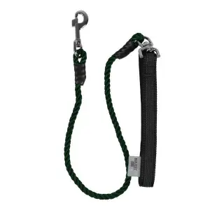 Seil-Longe Reiten Dyon image-0