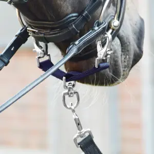 Lendenbündnis EQuest image-2