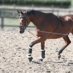 Rédea para trabalho de lunging no cavalo EQuest image-0