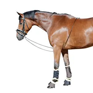 Rédea para trabalho de lunging no cavalo EQuest image-2