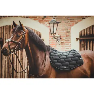 Tapis de selle pour cheval
EQuest Velvet Stone Legend image-3