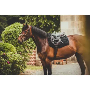 Tapis de selle pour cheval
EQuest Velvet Stone Legend image-6