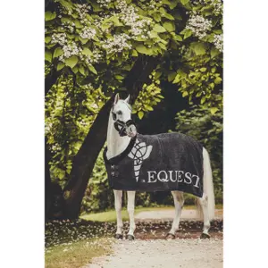 Pferdedecke EQuest Dralon Promotion Iconic Legend image-3
