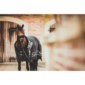 Pferdedecke EQuest Dralon Promotion Iconic Legend image-2