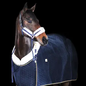 Stalldecke für Pferde EQuest Illusion image-4