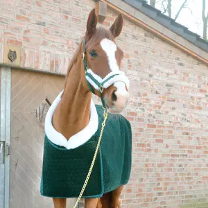 Manta de cuadra EQuest Illusion image-2