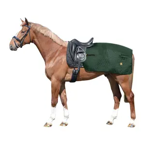 Nierendecken für Pferde EQuest Showline image-1