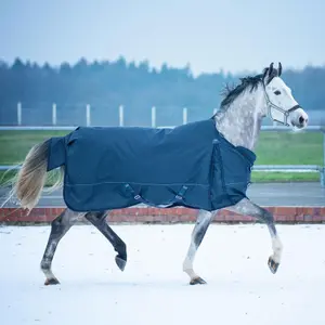 Outdoor-Decke für Pferde EQuest Ontario II 320 g image-0