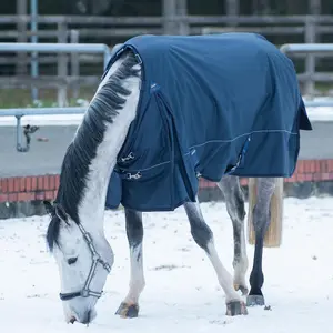 Outdoor-Decke für Pferde EQuest Ontario II 320 g image-1