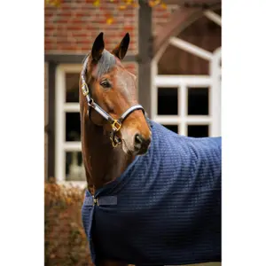 Manta para caballos EQuest Climatherm III Regular image-1