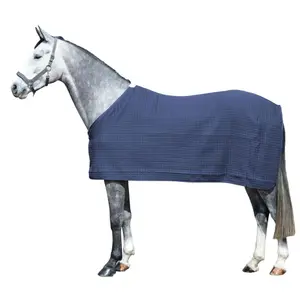 Manta para caballos EQuest Climatherm III Regular image-0