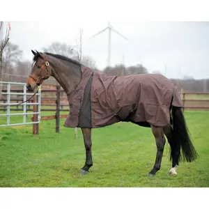 Manta de exterior para caballos EQuest Nova Scotia 0g image-1