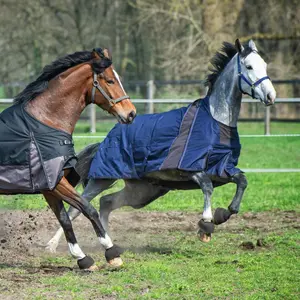 Couverture d'extérieur pour cheval EQuest Nova Scotia 0g image-3
