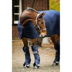 Botas de transporte para cavalos EQuest (x2) image-1