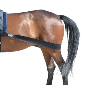 Venda elástica para caballos EQuest image-1