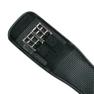 Elastischer Sattelgurt EQuest image-2