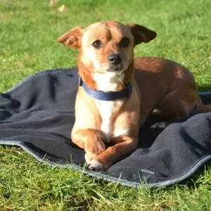 Couverture pour chien avec grip EQuest Alpha Fleece image-1