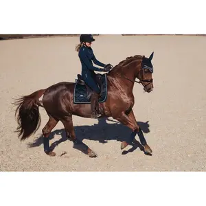 Λωρίδες πόλο για άλογα Equestrian Stockholm image-2