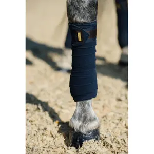 Λωρίδες πόλο για άλογα Equestrian Stockholm image-2