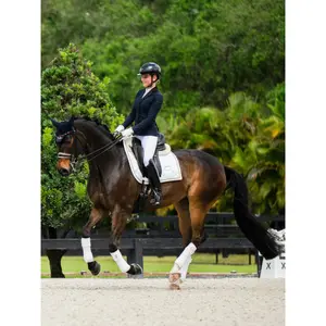 Λωρίδες πόλο για άλογα Equestrian Stockholm image-1