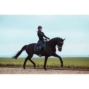 Λωρίδες πόλο για άλογα Equestrian Stockholm image-2
