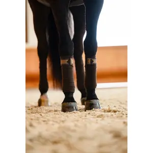 Λωρίδες πόλο για άλογα Equestrian Stockholm image-1