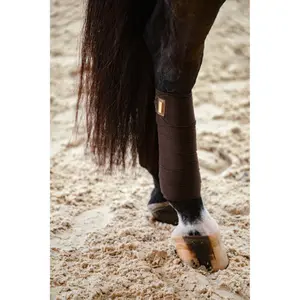 Λωρίδες πόλο για άλογα Equestrian Stockholm image-2