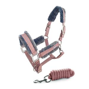 Halter and lead rope set for horse Equestrian Stockholm