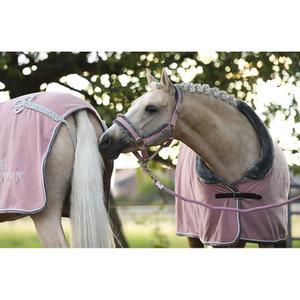 Halter and lead rope set for horse Equestrian Stockholm image-2