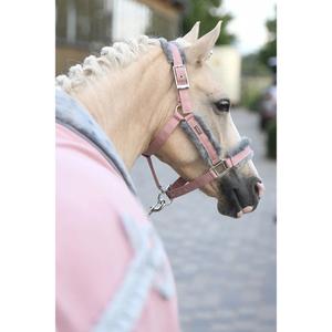 Halter and lead rope set for horse Equestrian Stockholm image-3