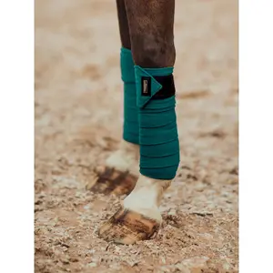 Polo strips for horses Equestrian Stockholm image-1