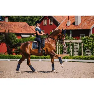 Λωρίδες πόλο για άλογα Equestrian Stockholm image-2