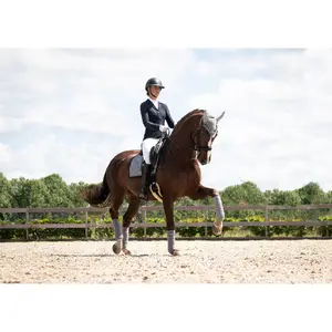 Polo strips for horses Equestrian Stockholm image-3