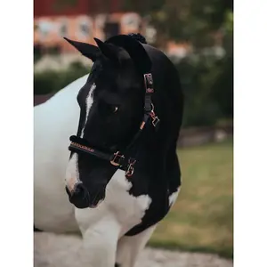 Σέλλα και λουρί για άλογο Equestrian Stockholm image-1
