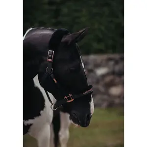 Σέλλα και λουρί για άλογο Equestrian Stockholm image-2